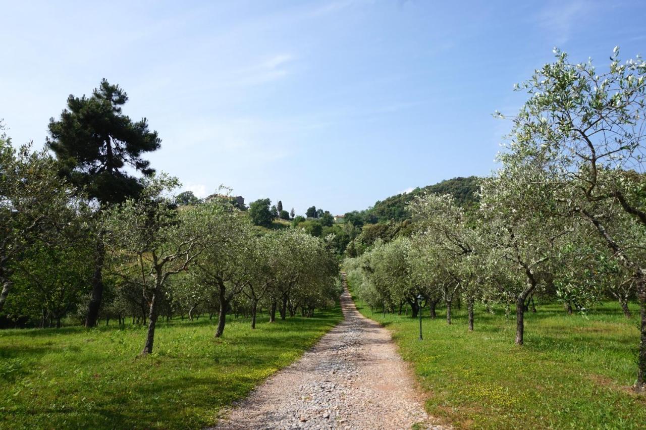 Apartamento Agriturismo Le Vallilunghe Lucca Exterior foto