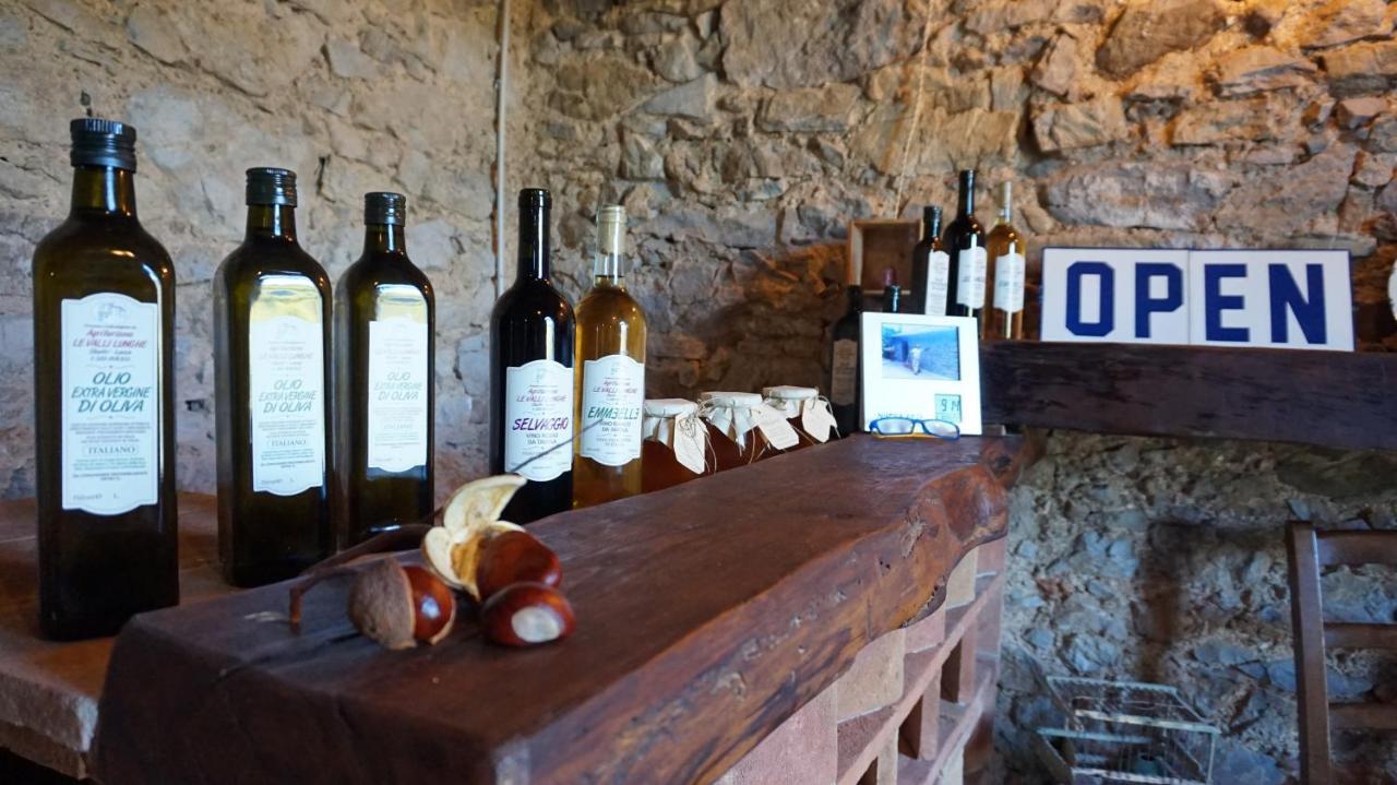Apartamento Agriturismo Le Vallilunghe Lucca Exterior foto